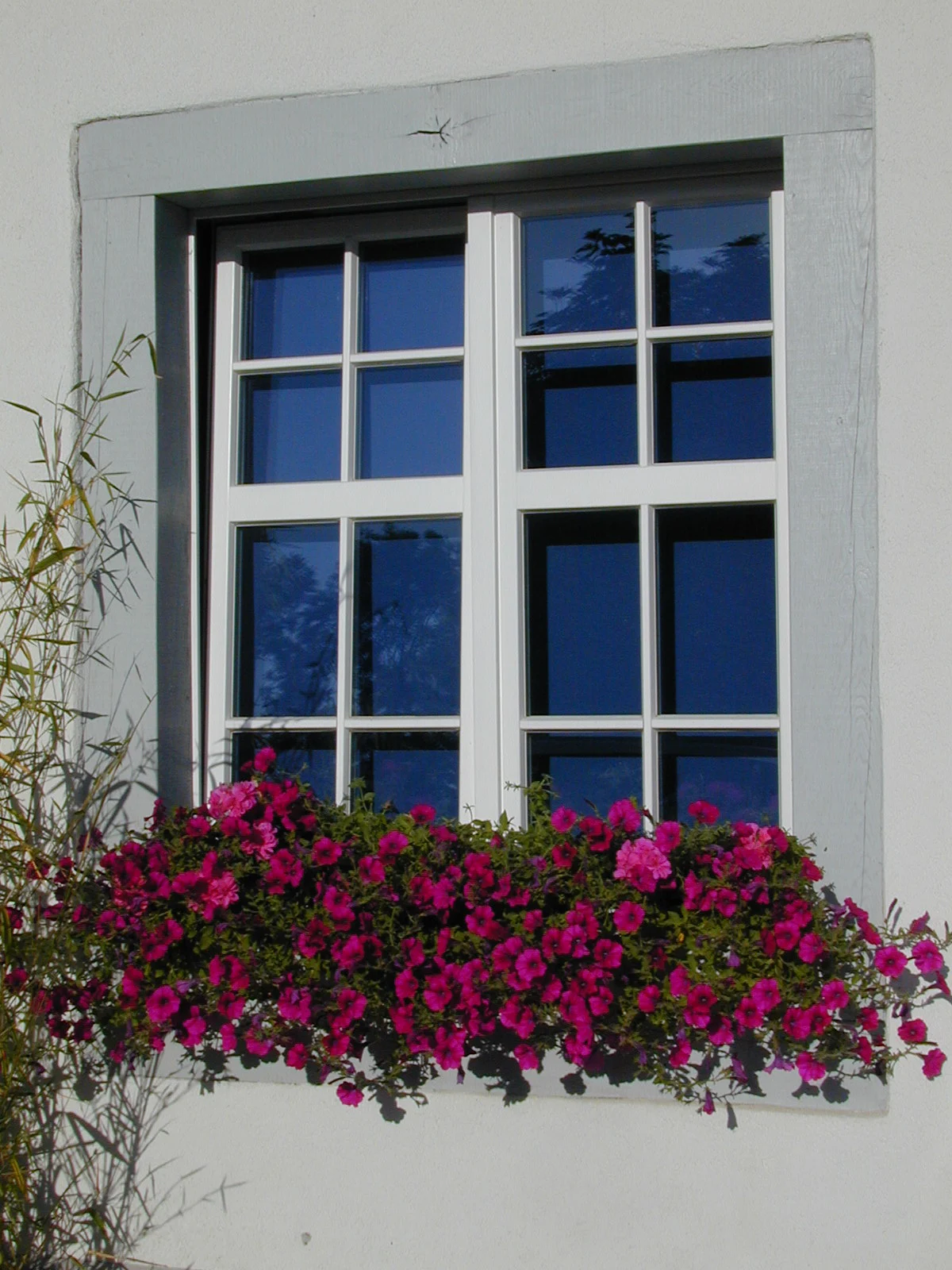 Denkmalschutz Fenster mit Sprossen